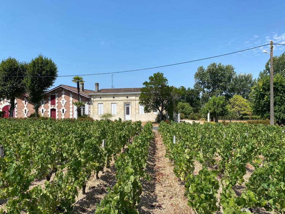Property building, Garden, Garden, Garden view