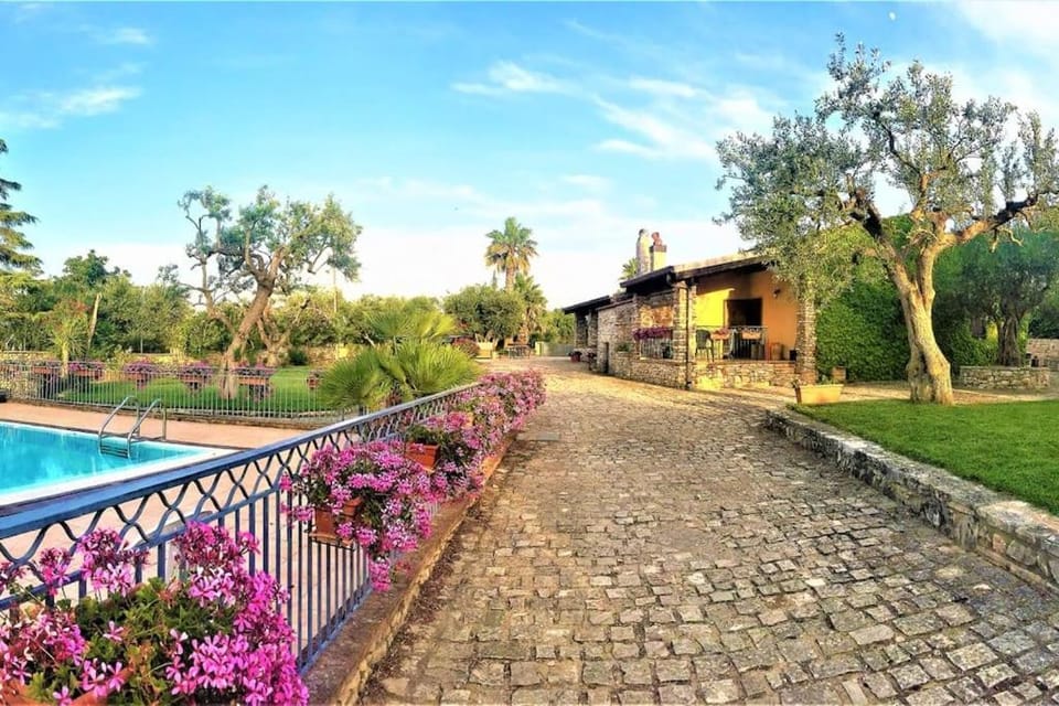 Property building, Natural landscape, Garden, Swimming pool