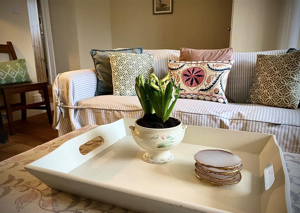 Spring, TV and multimedia, Decorative detail, Seating area, children, young children, Family, Family, pet friendly