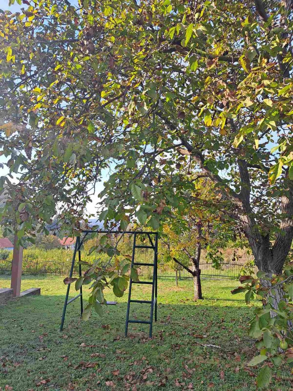 Children play ground, Garden
