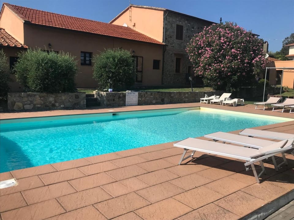 Property building, Swimming pool, sunbed