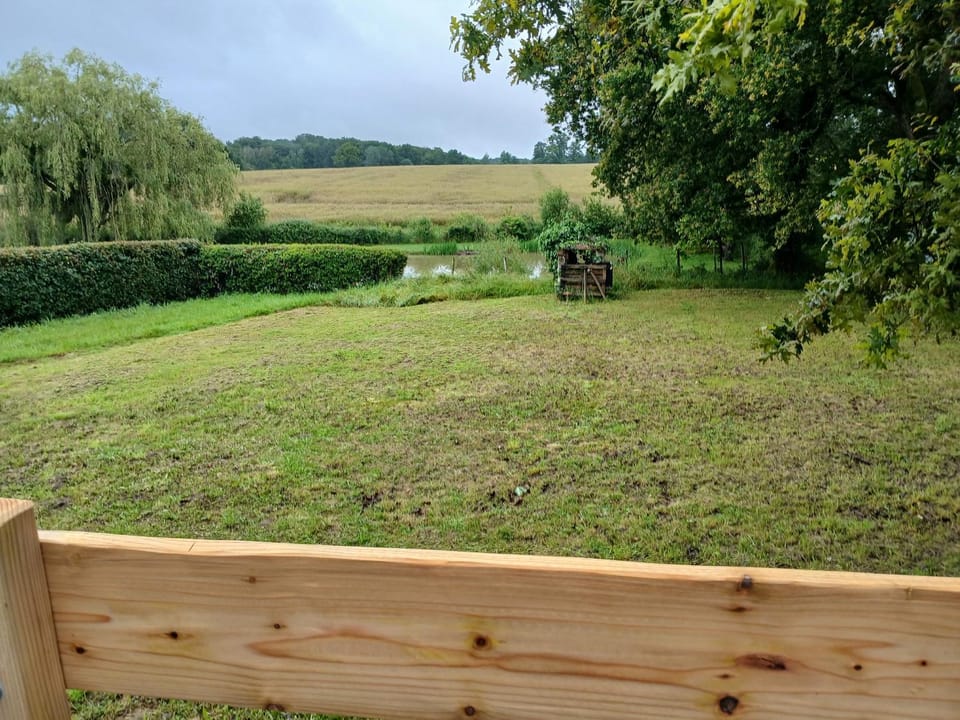 Natural landscape, Garden, Garden view