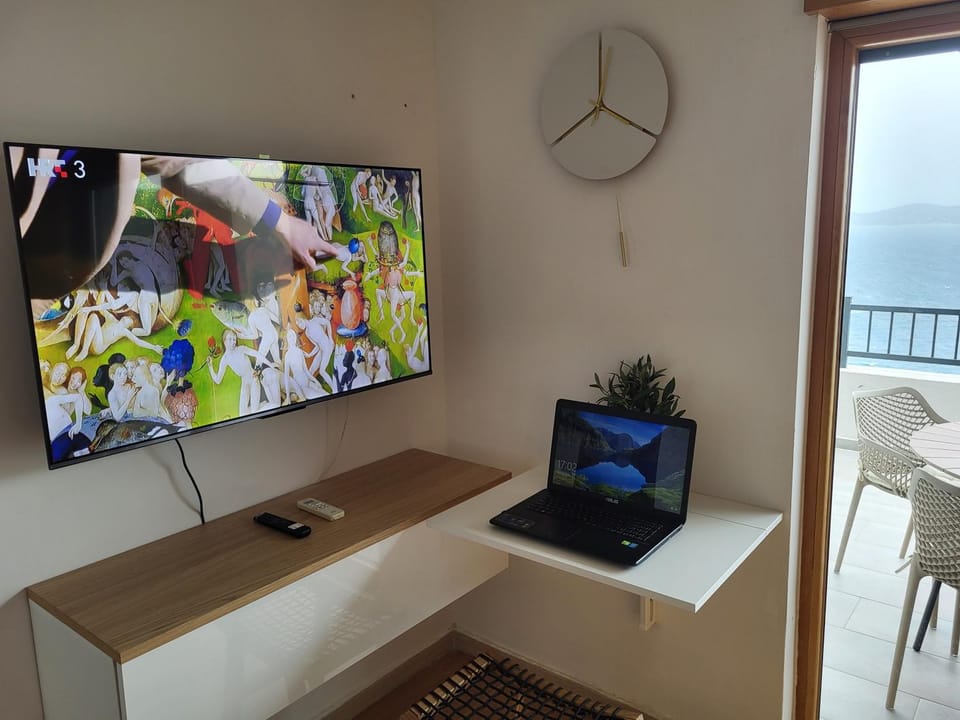 TV and multimedia