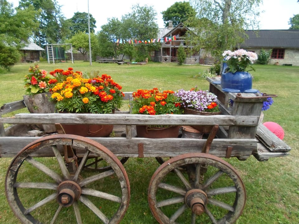 Garden view