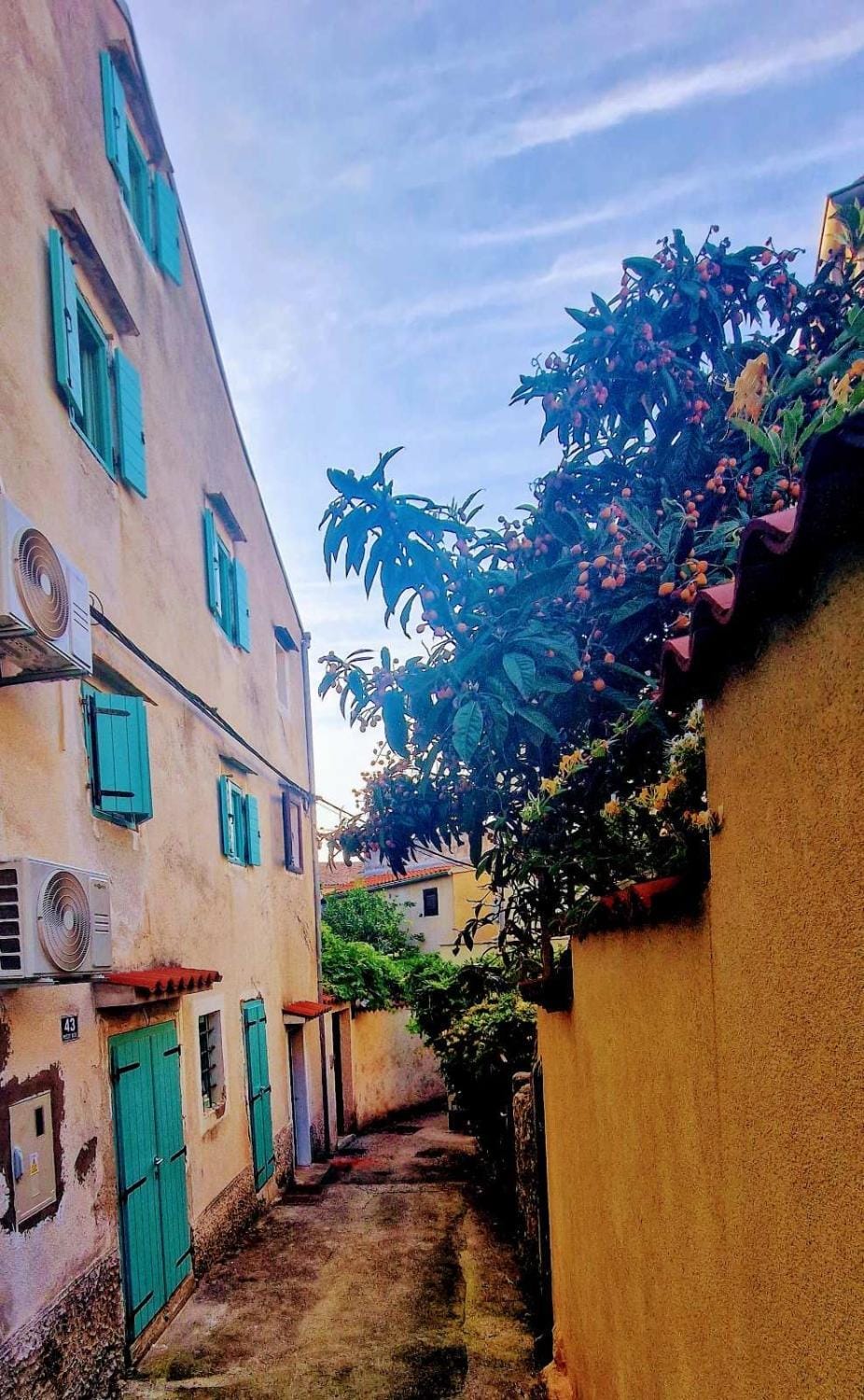 Lassini Apartment in Mali Losinj