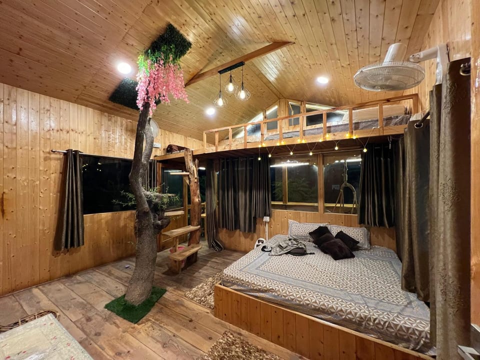 Bed, Photo of the whole room, Bedroom, bunk bed