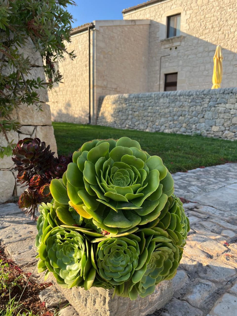 AgriturismoBugilfezza di TGESD Farm Stay in Sicily