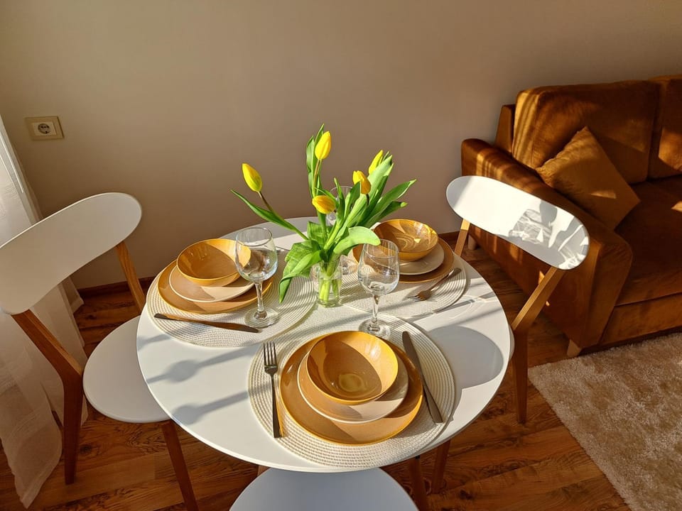 Turu 15 Apartment Apartment in Estonia
