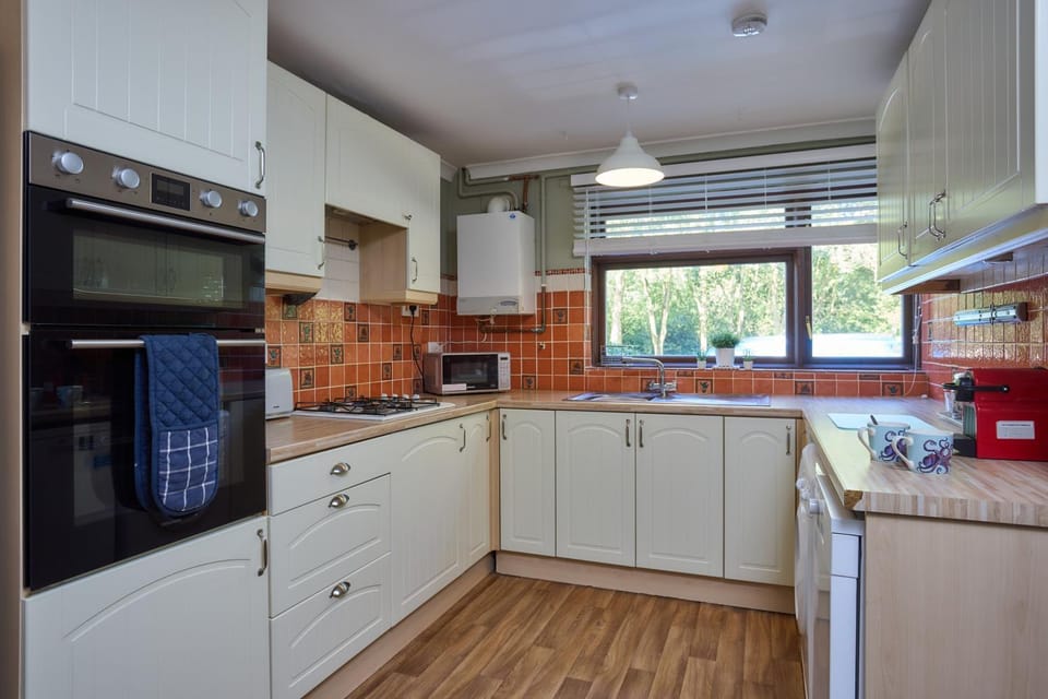 Property building, Evening entertainment, oven, stove
