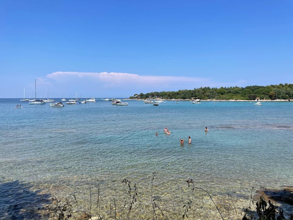Beach, Windsurfing
