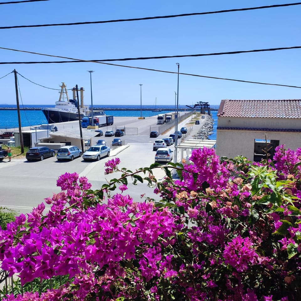 Natural landscape, Garden, Sea view, Street view, Location