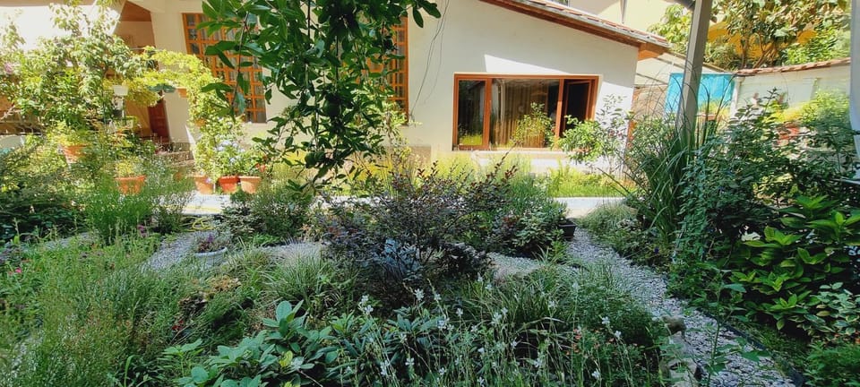 Property building, Garden, Garden view