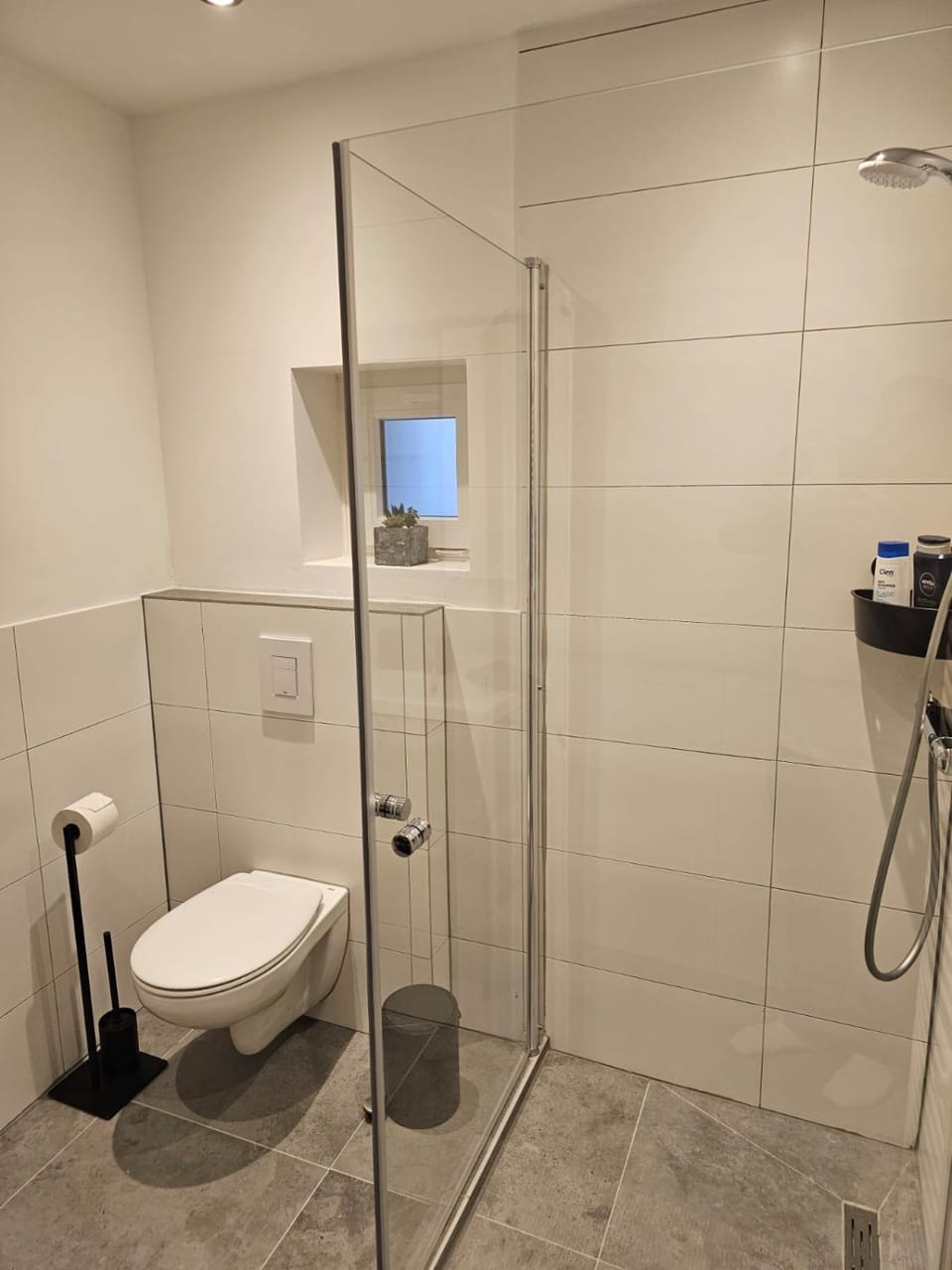 Shower, Toilet