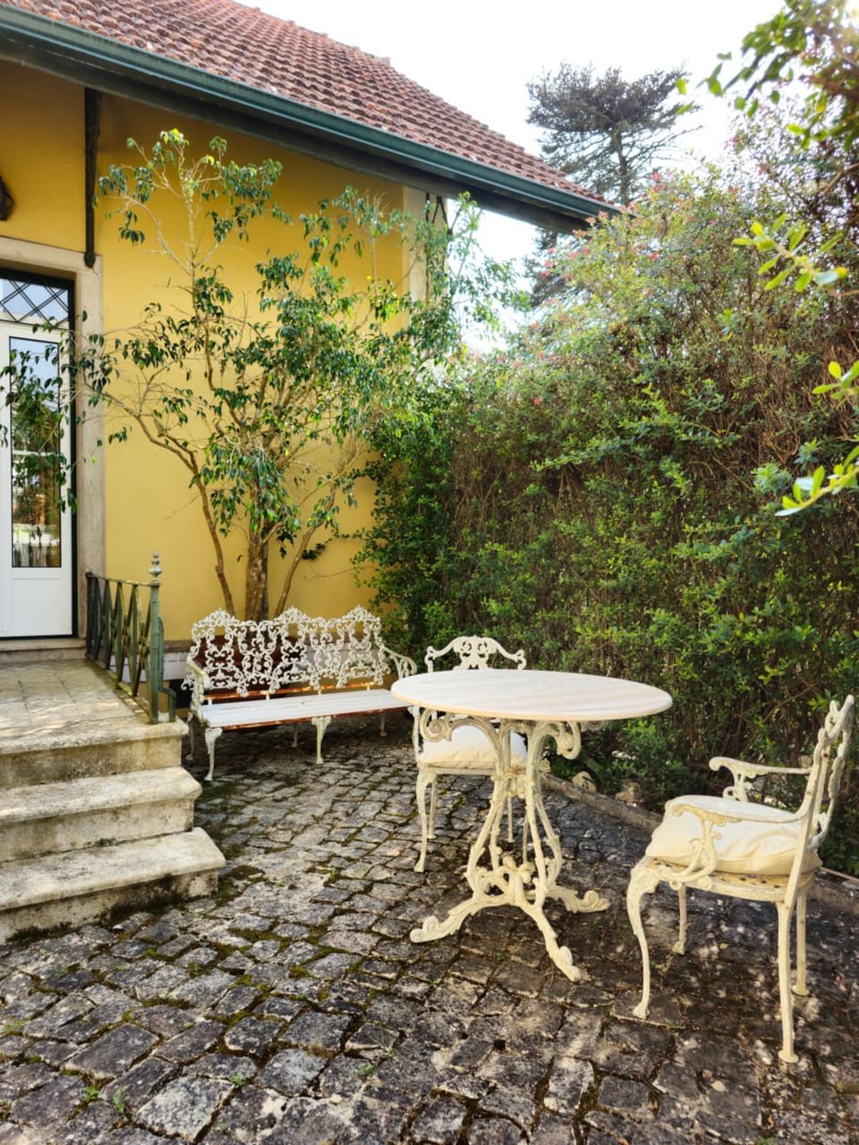 Patio, Garden
