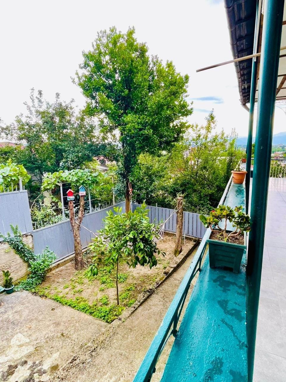 Garden view