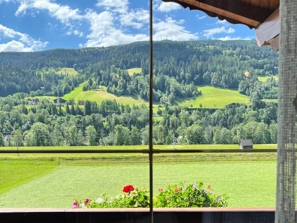 View (from property/room)