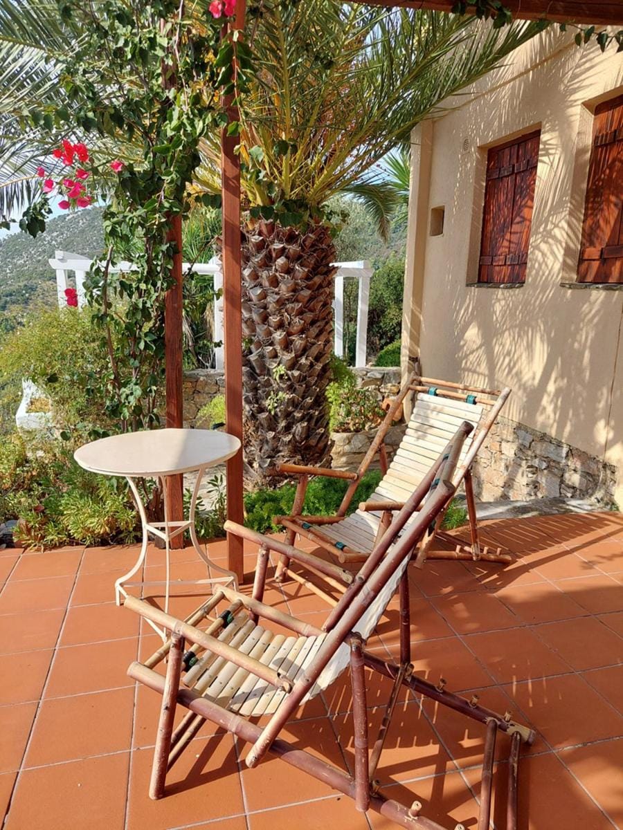 Elma's Houses - Terrace Studio Aliki Apartment in Sporades, Greece