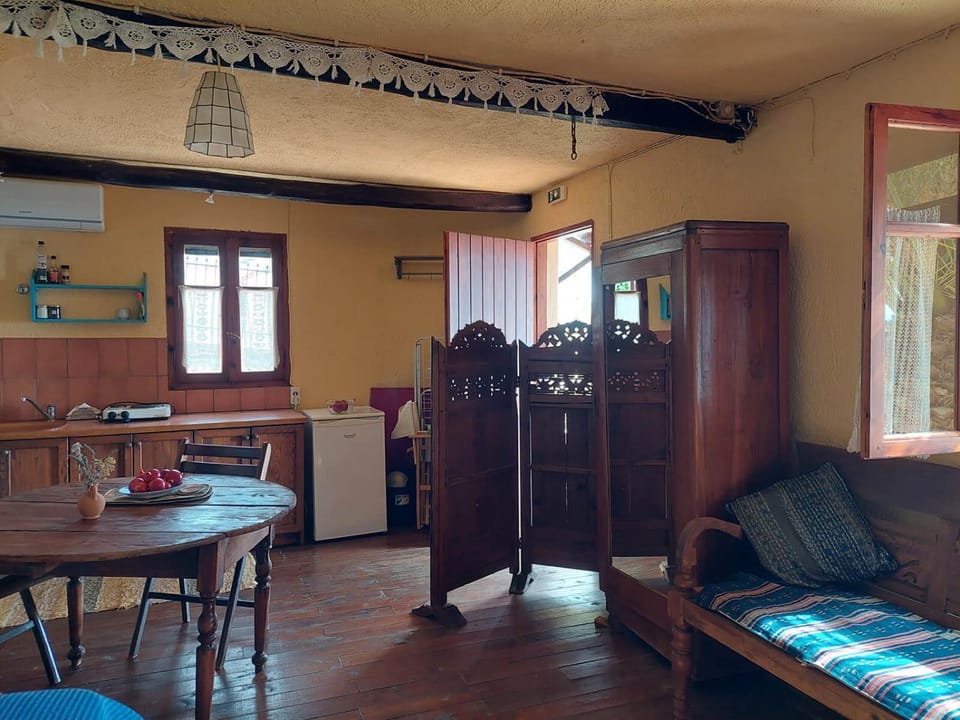 Elma's Houses - Terrace Studio Aliki Apartment in Sporades, Greece
