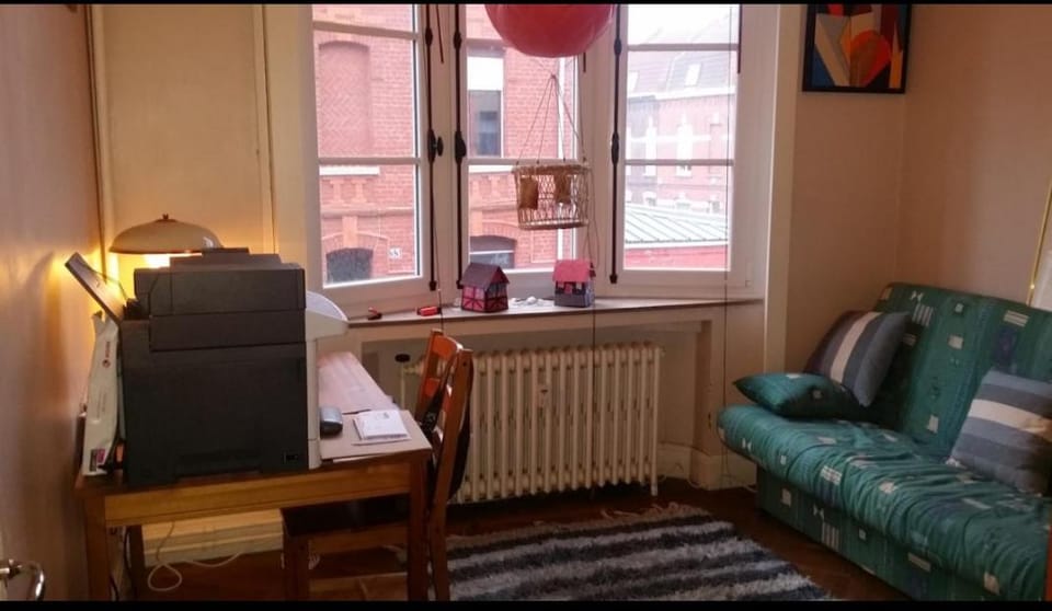 La Roubaisienne de Julia Apartment in Hauts-de-France