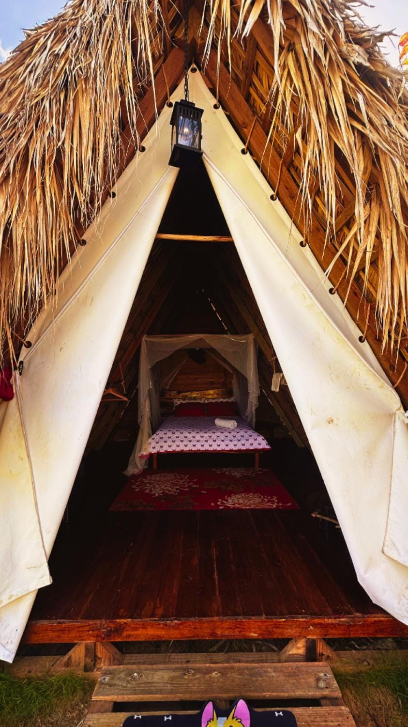Property building, Bed, Bedroom