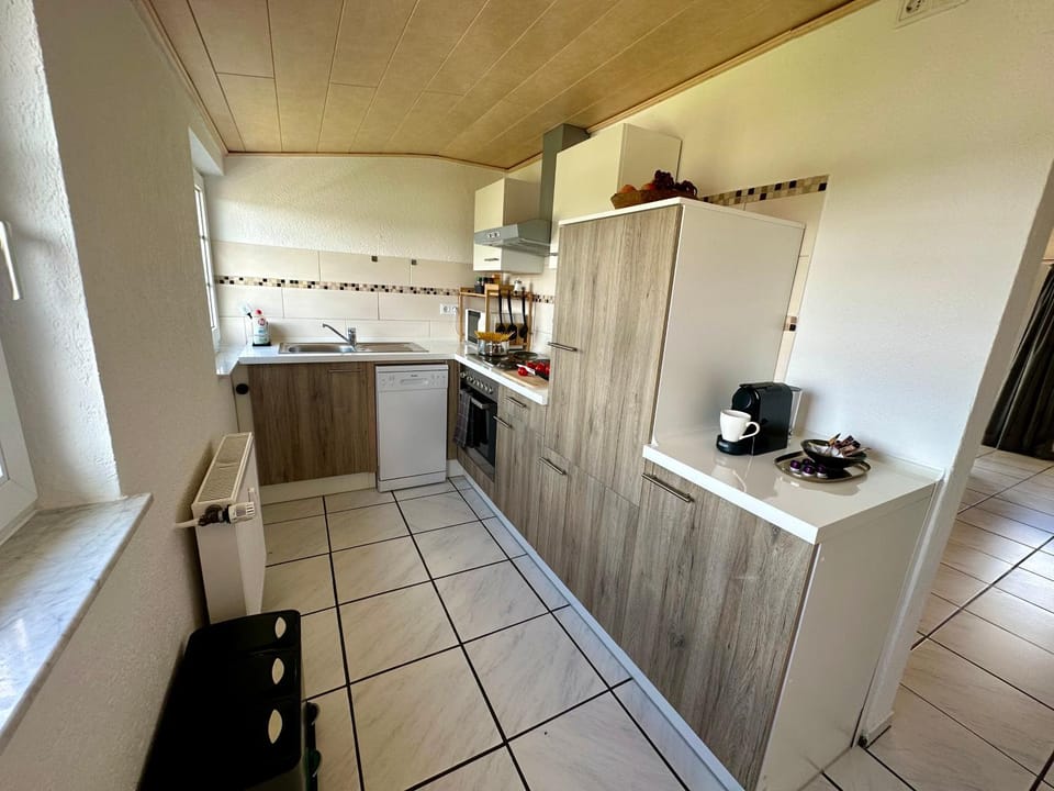 Kitchen or kitchenette, dishwasher, oven, stove