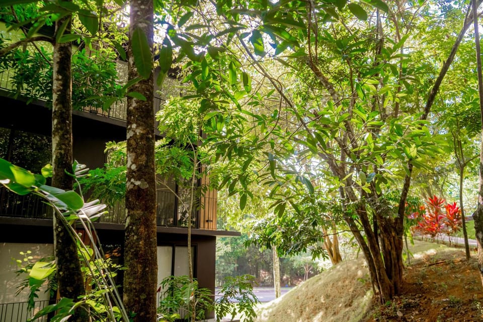 Nautilus B23 Apartment in Playa Hermosa