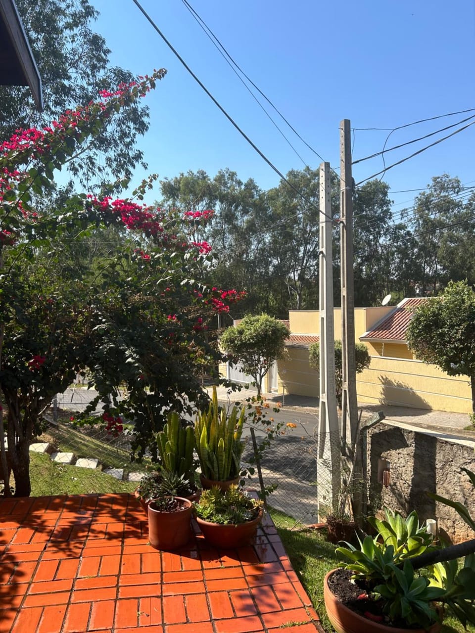 Casa Flor de Lis House in State of São Paulo