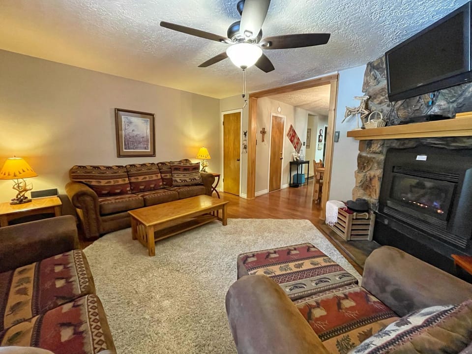 Day, TV and multimedia, Living room, fireplace, furniture
