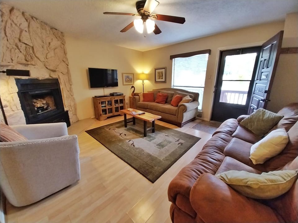Day, TV and multimedia, Living room, Seating area, fireplace, furniture