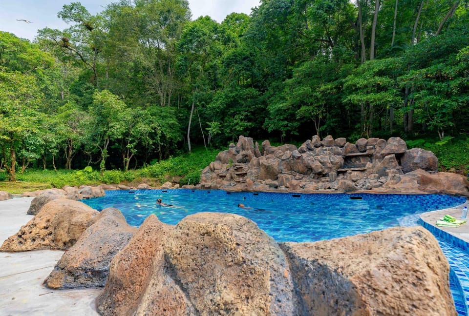 Swimming pool, Swimming pool
