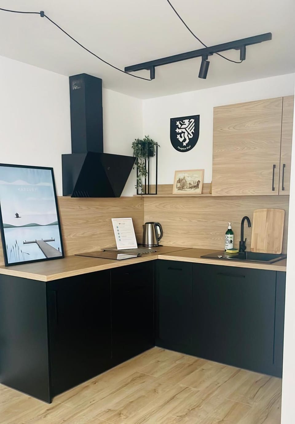 Kitchen or kitchenette, stove, kitchen