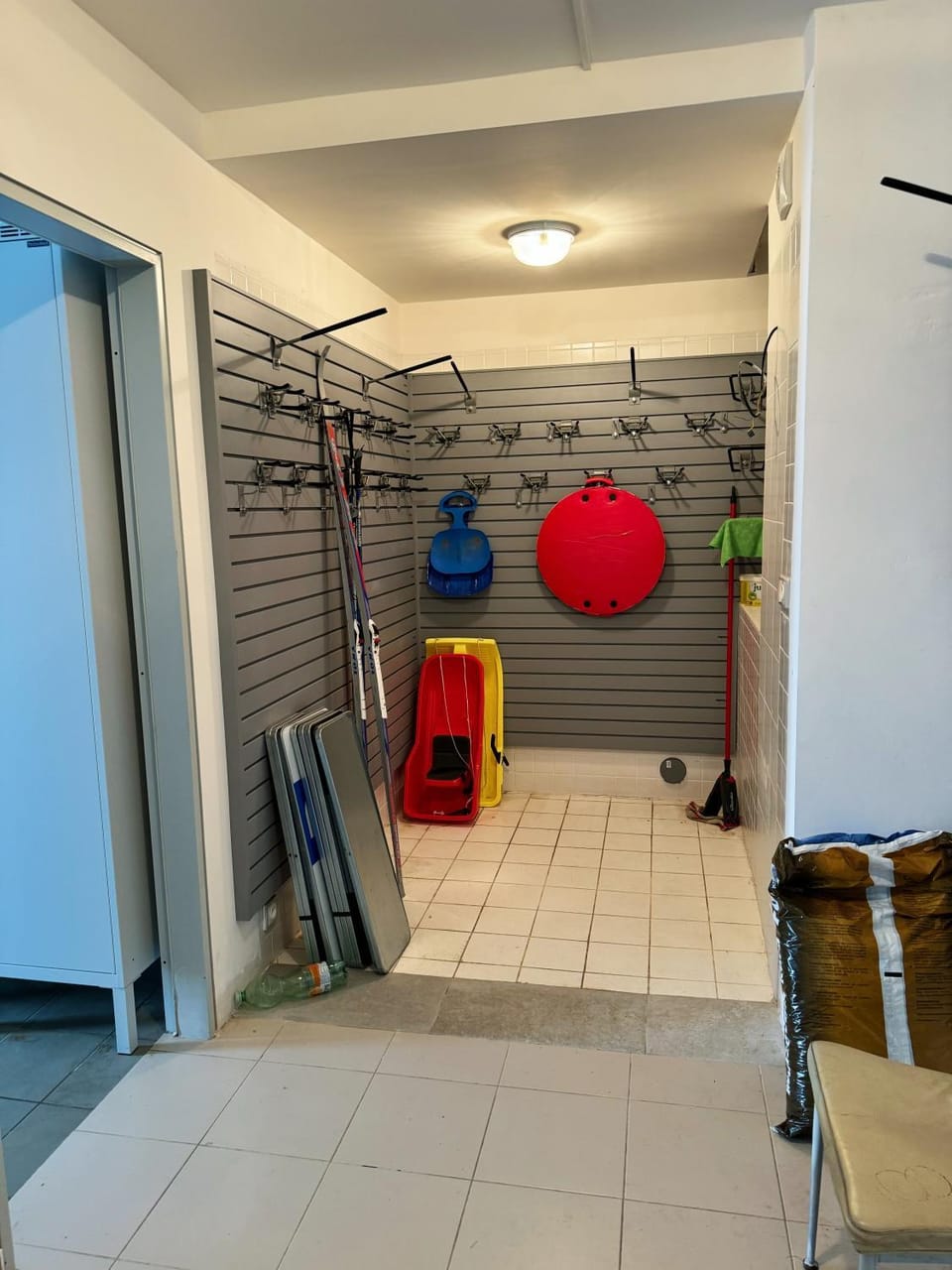 Skiing, Area and facilities