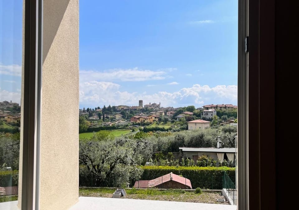 Natural landscape, City view, Garden view