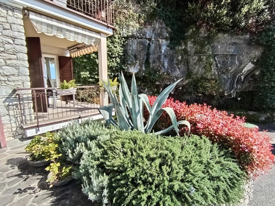 Property building, Patio, Garden