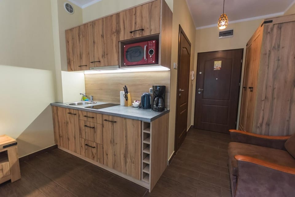 TV and multimedia, Kitchen or kitchenette, minibar, oven, wardrobe