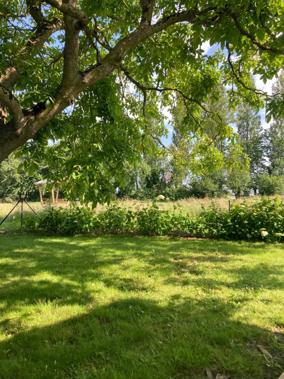 Garden, Garden view