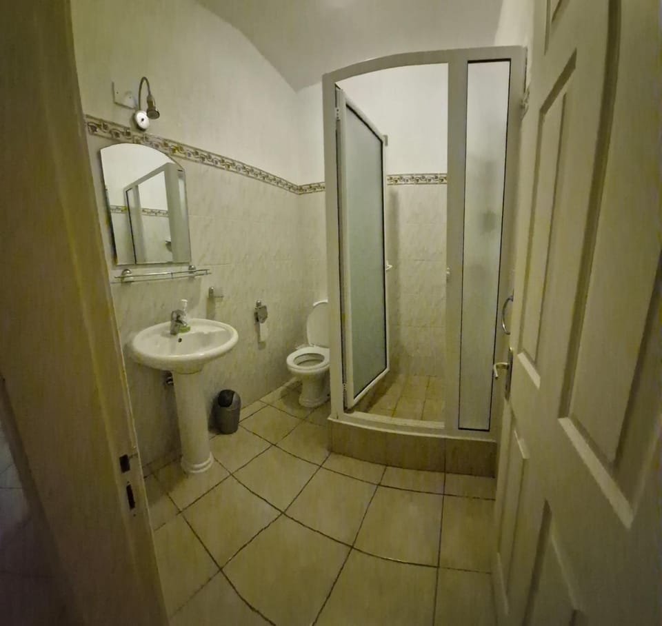 Shower, Toilet, Bathroom, bidet