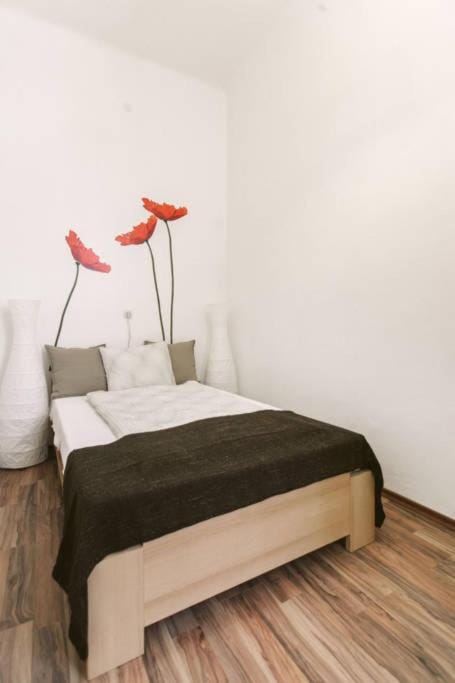 Századfordulós elegáns lakás erkéllyel Apartment in Budapest