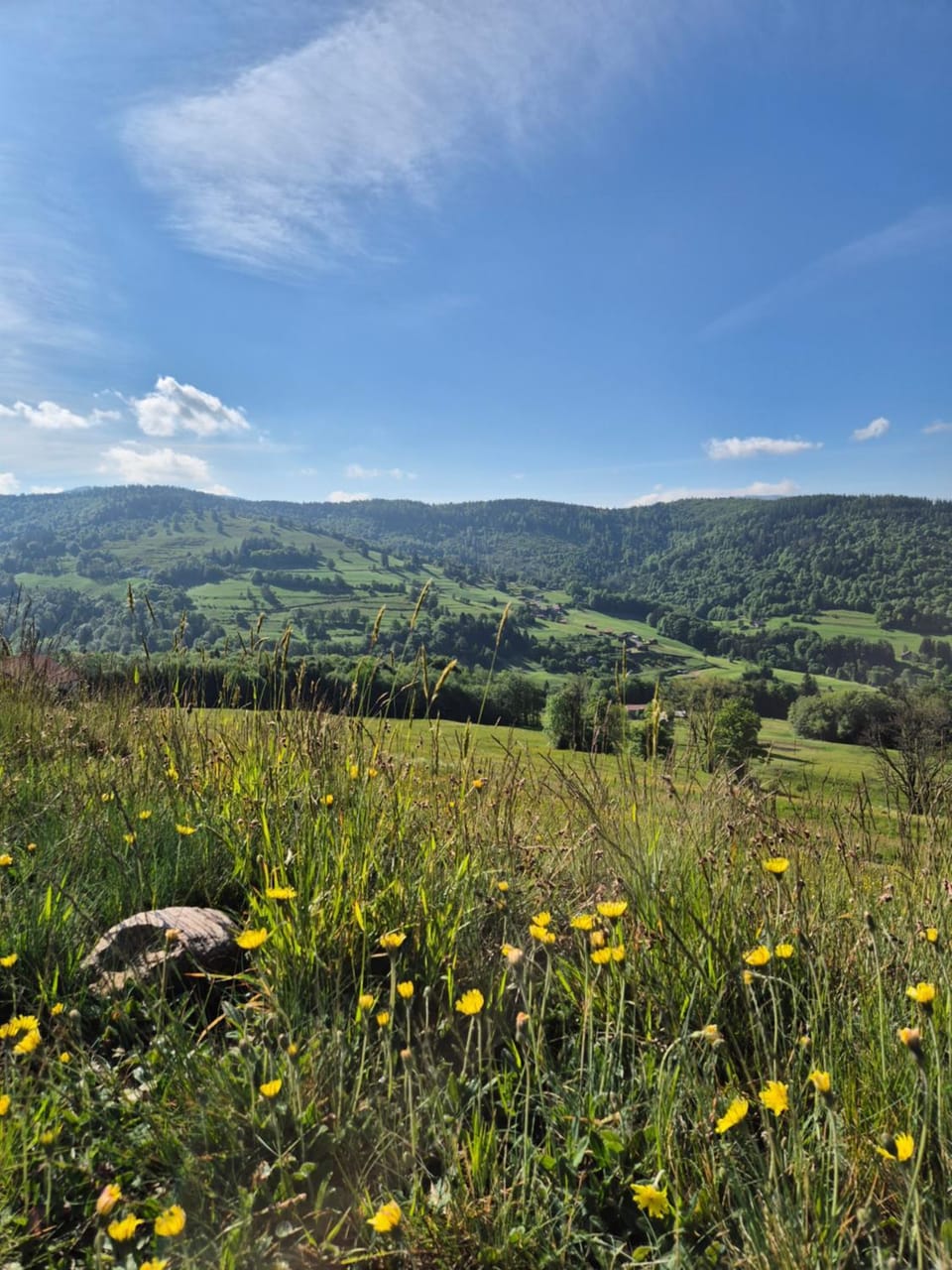 Natural landscape, View (from property/room), Mountain view