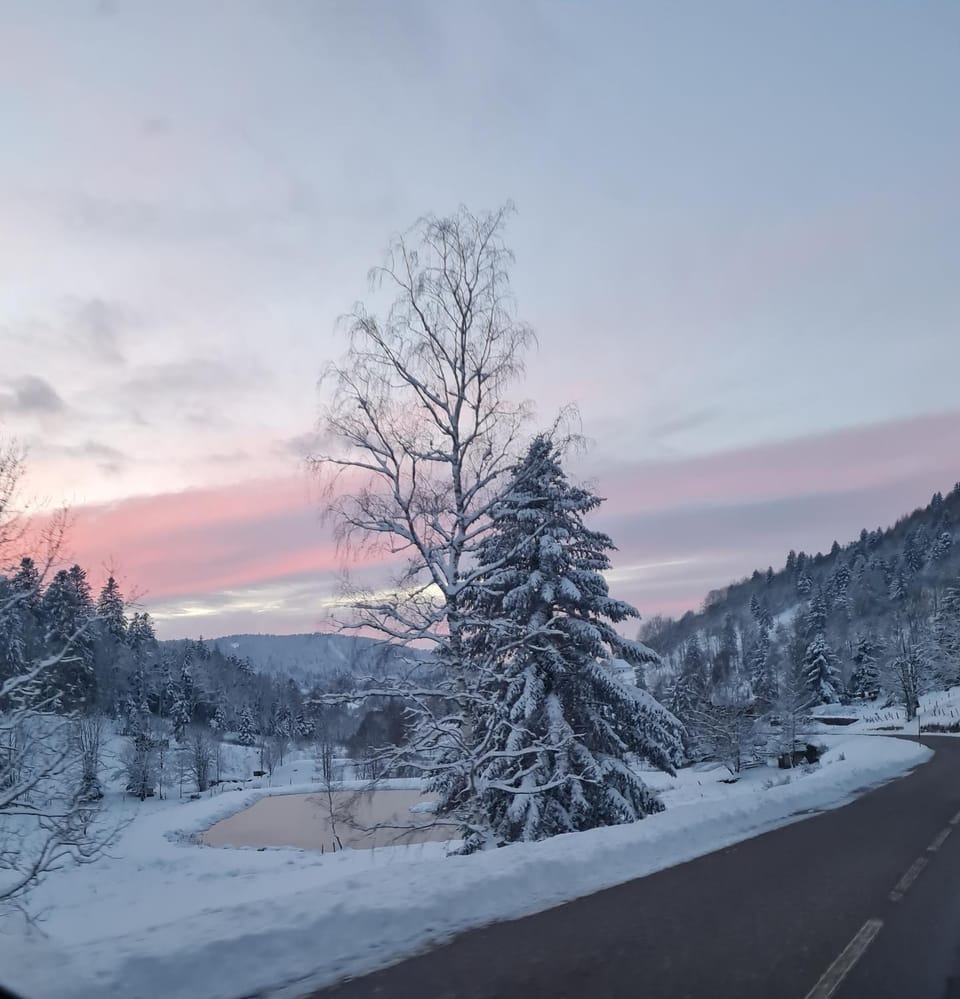 Winter