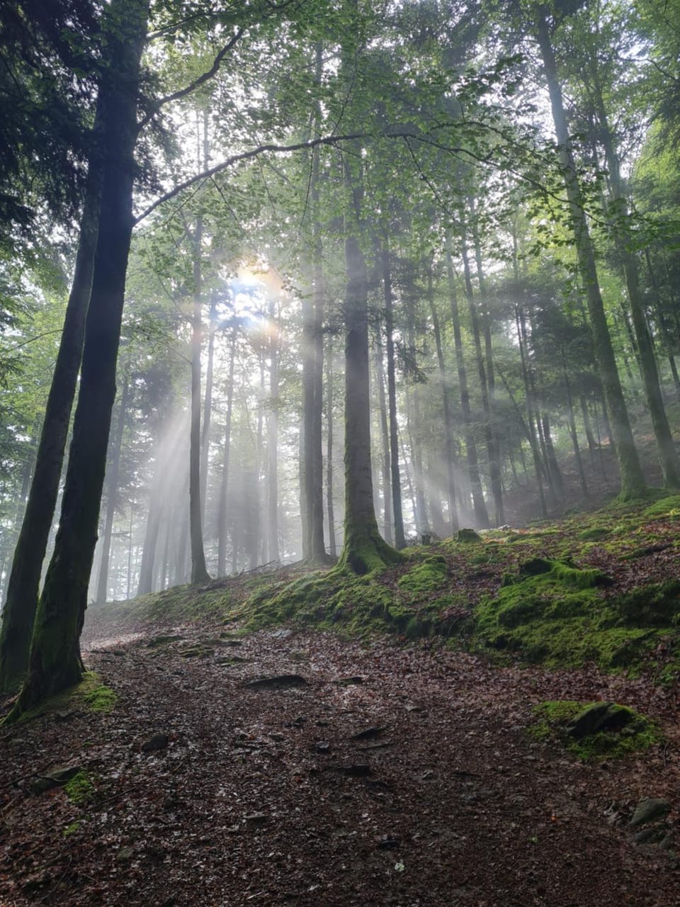 Natural landscape
