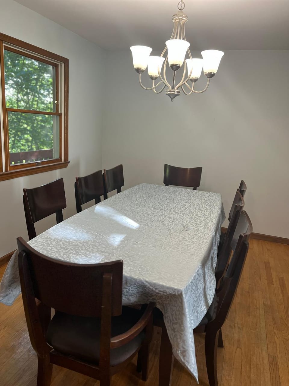 Perfectly located Waterhill home - Max occupancy for 4 unrelated people, STR license # STR22-0086 House in Ann Arbor