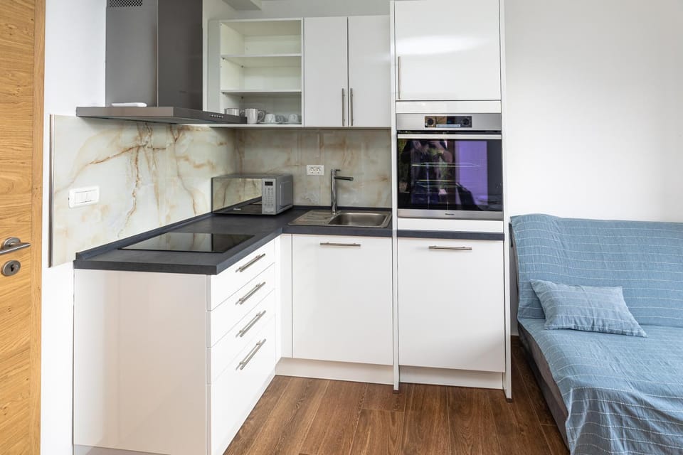 Kitchen or kitchenette, dishwasher, oven, stove