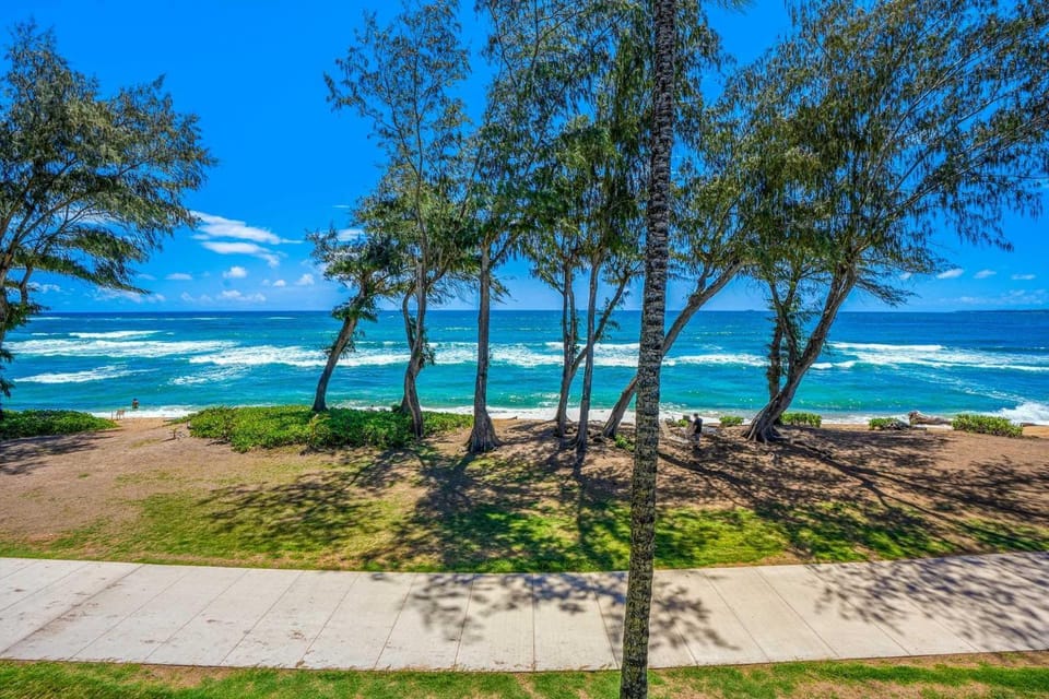 Islander on the Beach 328 Apartment in Waipouli Beach