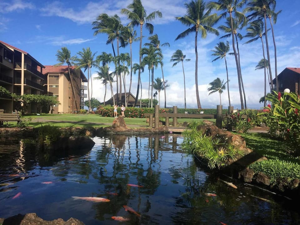 Papakea Resort E204 Apartment in Kaanapali