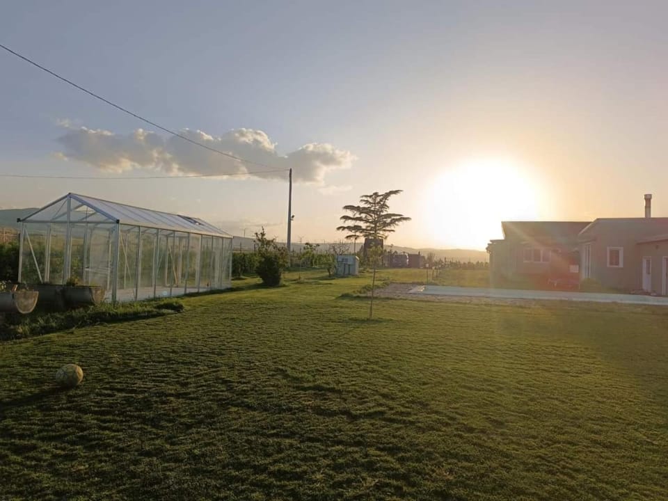 Natural landscape, Garden, Garden view, Sunset