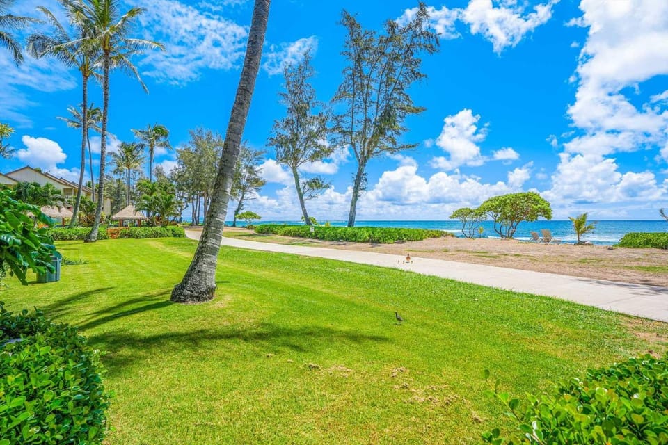 Islander on the Beach 152 Apartment in Waipouli Beach