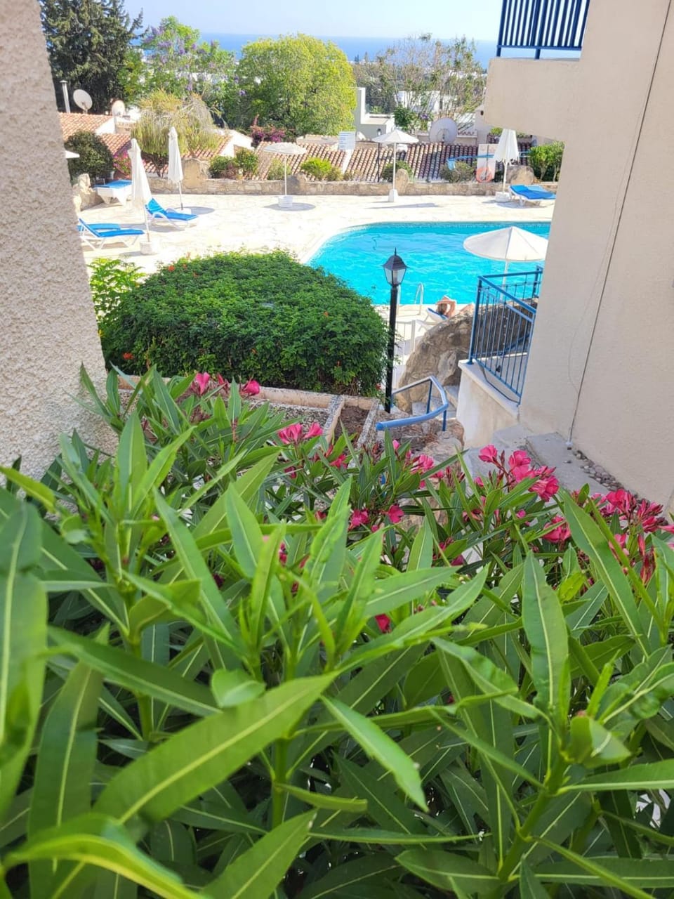 Property building, Garden, Pool view, Swimming pool, sunbed