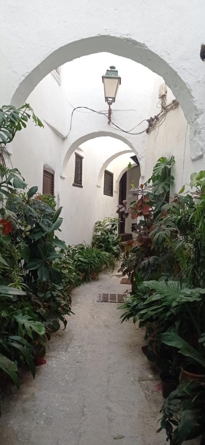 Day, Garden view