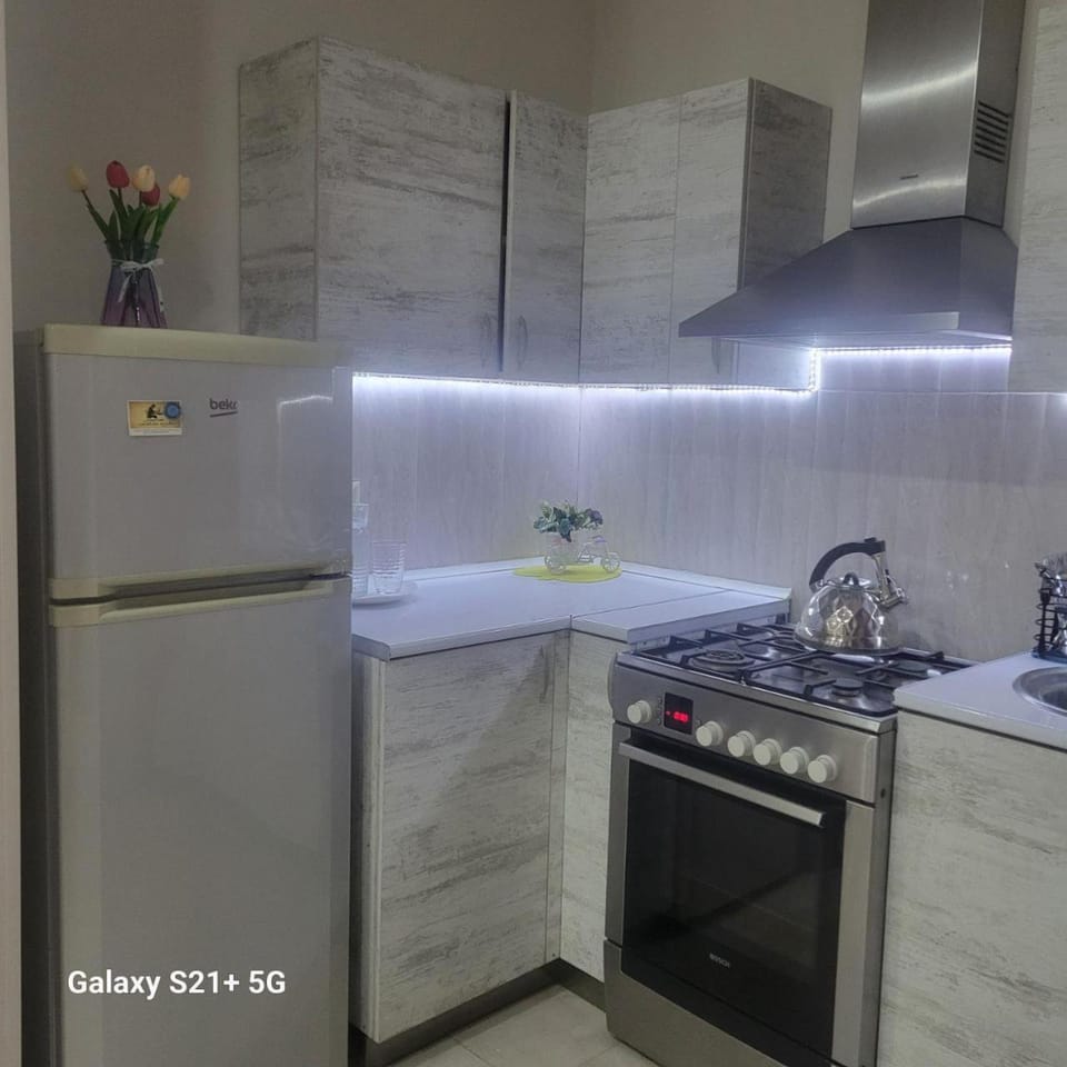 Loka Lesia Apartment in Tbilisi, Georgia